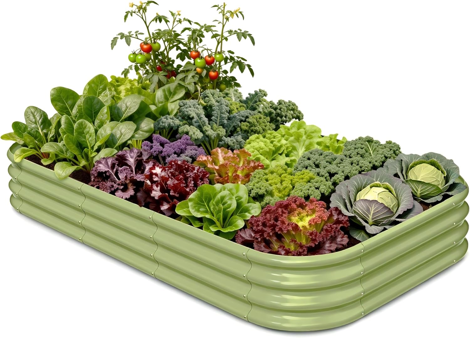 Galvanized Raised Garden Bed 8 - Planter Raised Metal review and price