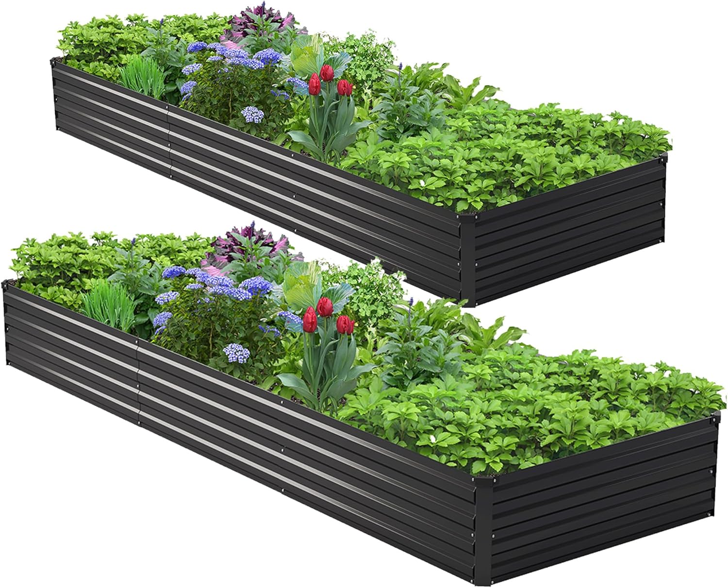 2PCS 10x3x1ft Galvanized Raise - Planter Raised Metal review and price