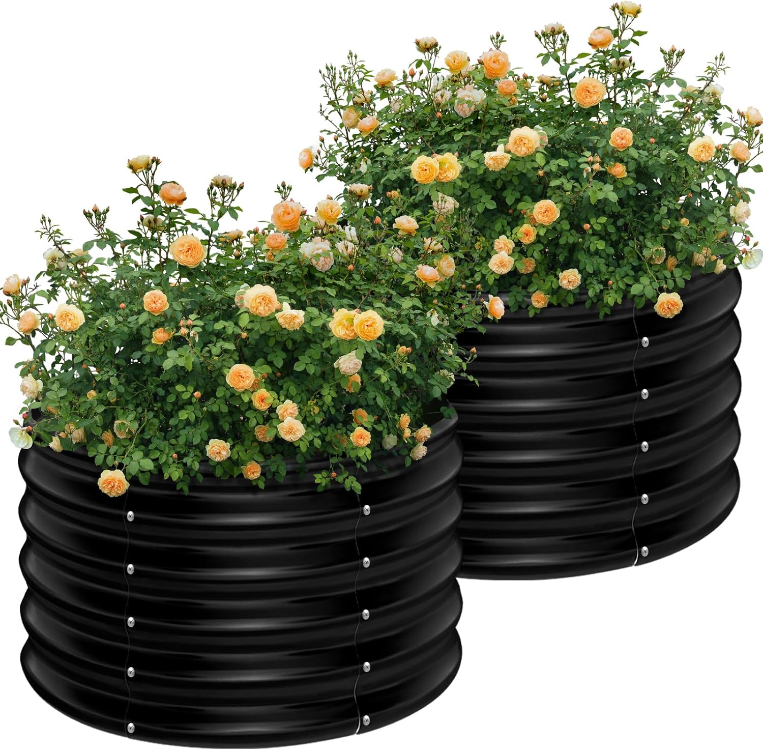 2 Pack 2x2x1.5ft Round Galvani - Planter Raised Metal review and price
